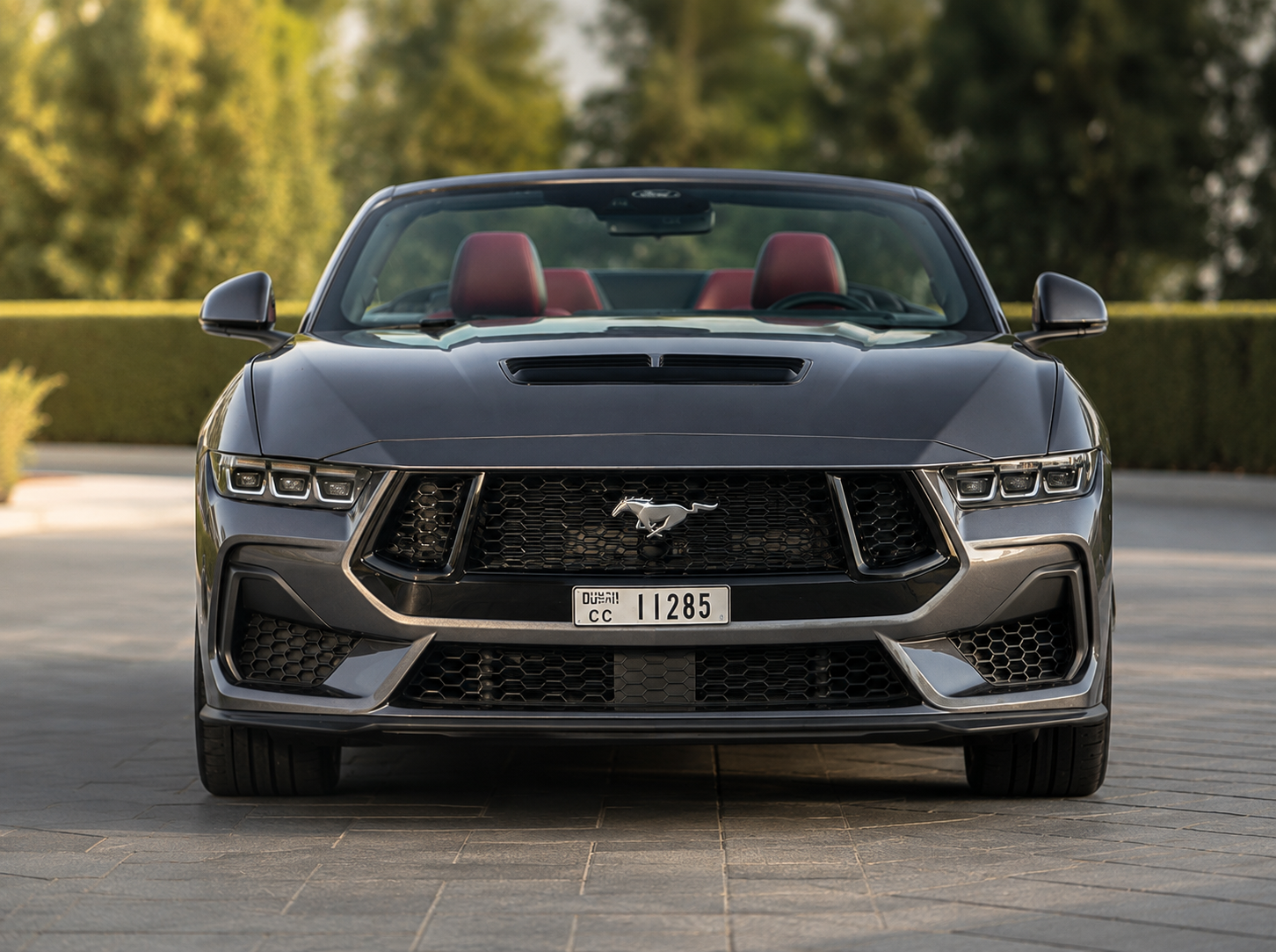 Ford Mustang GT5.0 V8 2024