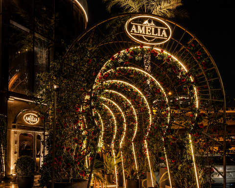 AMILIA